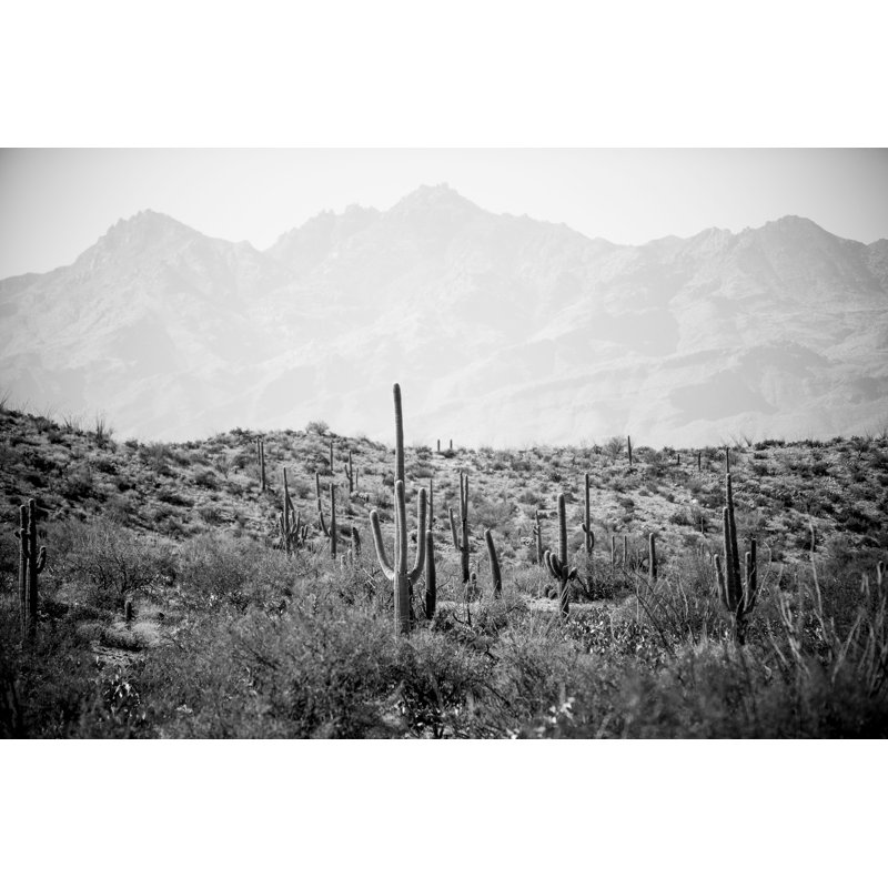 «Saguaro Cactus Land» par AvatarkNowmad - photographie sur toile tendue, H 8 po x l 12 po