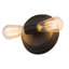 Alva 2 - Light Flush Mounted Sconce