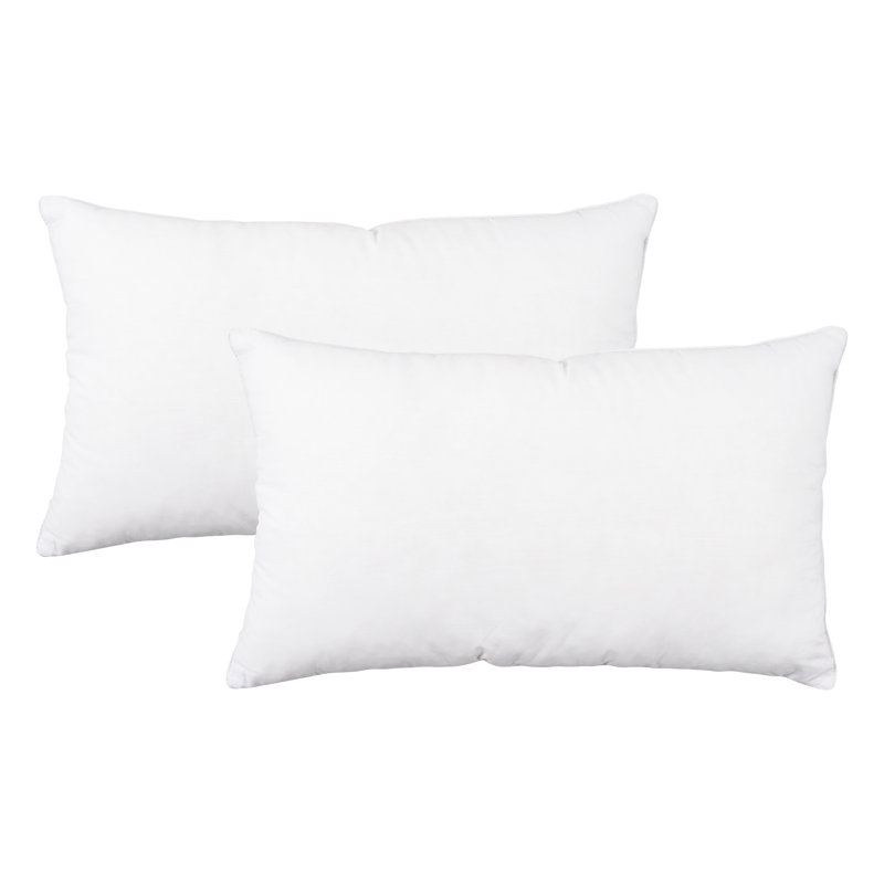Insert de coussin - Basics by Wayfair ™, 12 po x 20 po, 2