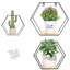 Iarla 3 Piece Hexagon Accent Shelf