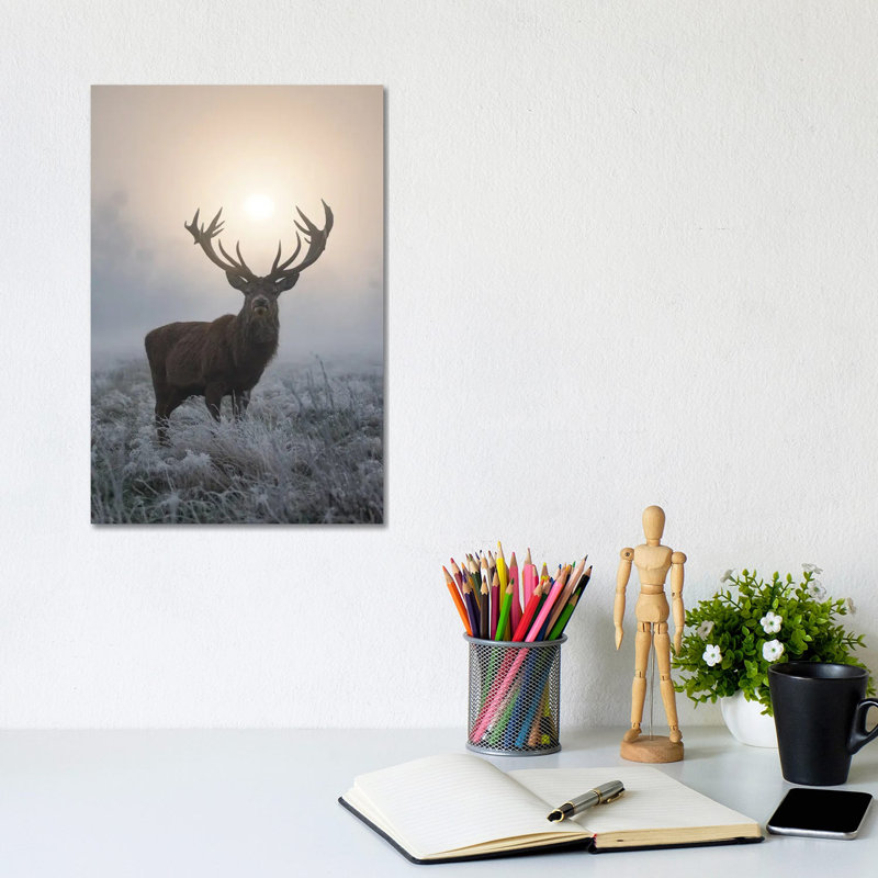 Frosty Glow by Max Ellis - Wrapped Canvas Print, 30.48cm H x 20.32 W x  1.905cm D