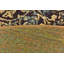 Tapis intérieur / extérieur beige Newt-23394148