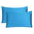 Bleu méthyle est en rupture de stock