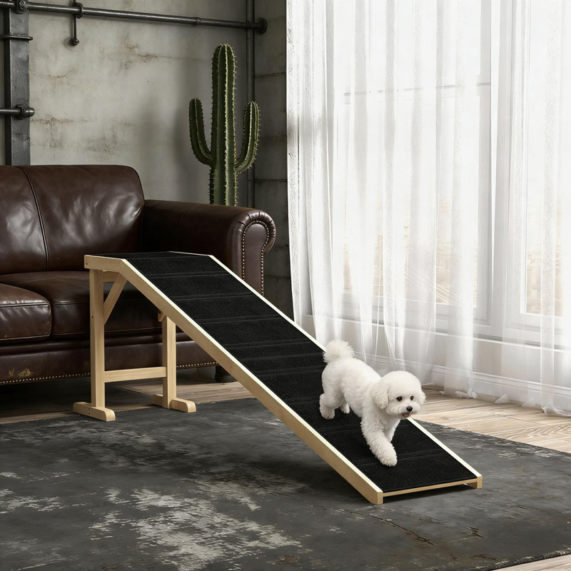 Rampe pratique pour animaux de compagnie, Noir, naturel