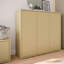 Alice Springs 12 Pair Shoe Storage Cabinet-127668805