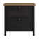 Shelonda 31'' Wide 2 - Drawer File Cabinet