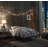 Priya  Silver Finish Twin Bed W/Canopy