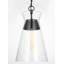 Luminaire suspendu noir à 1 lumière Bronsyn
