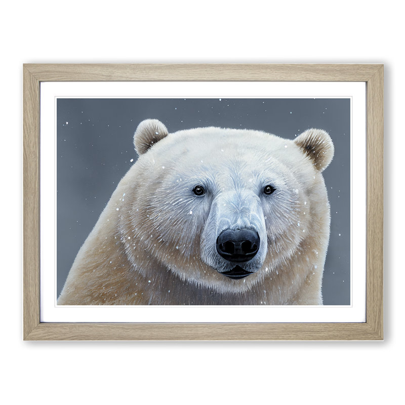 Spectacular Polar Bear - Framed Print, 46cm H x 64cm W, Oak Frame