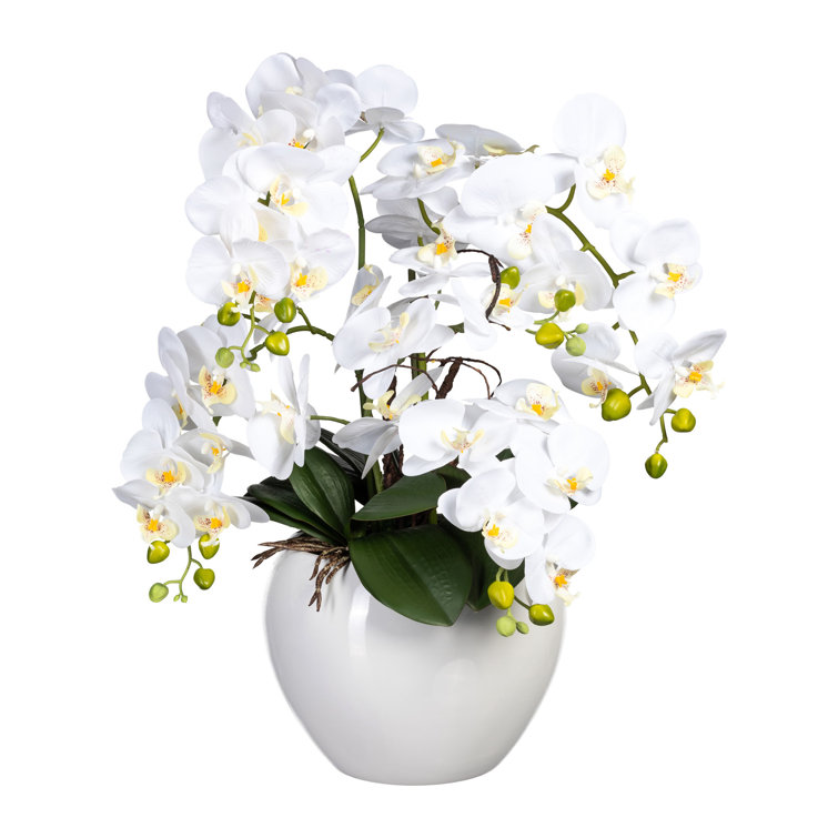 The Seasonal Aisle 56mm Faux Flowering Plant in Ceramic Pot | Wayfair.co.uk