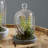 Sydnee 18cm Succulent in Cement Terrarium