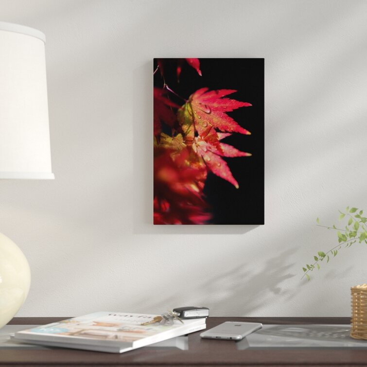 'Red Spirit Of Autumn' Photographic Print on Canvas