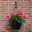 Pot à fleurs suspendu Wetumka-1000764644-1000764641