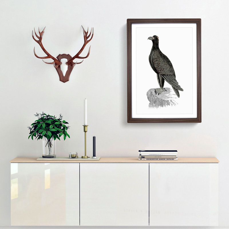Mountain Eagle Illustration - Framed Print, Walnut Framed, 48cm H x 36cm W x 2cm D