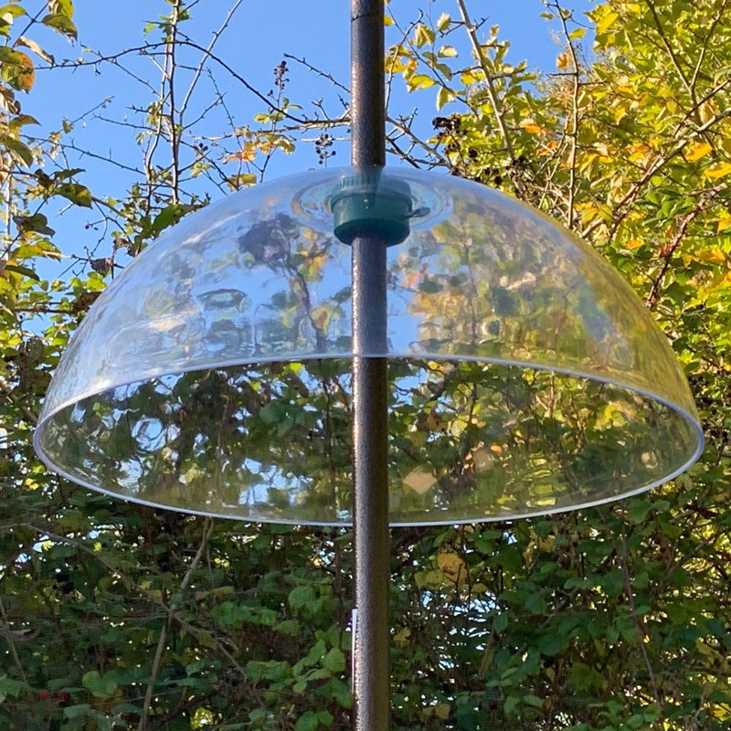 Kymani Plastic Squirrel Guard