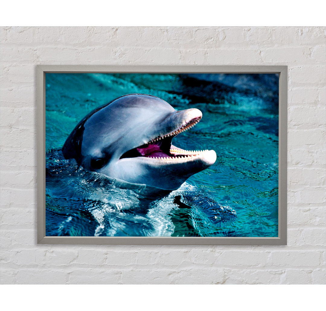 Dolphins Call - Einzelner Bilderrahmen Kunstdrucke auf Leinwand