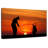 Senne Golf At Sunset-106307831