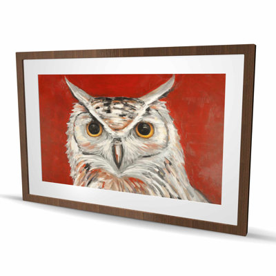 Colorful Eagle Owl Framed Matted Print - Home Decor Art