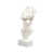 Cream/Gold is out of stock selected