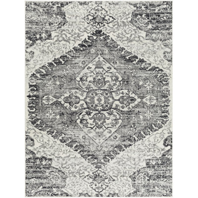 Aldusa Oriental Indoor Rug