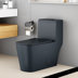 Gray Toilet/Gray Button