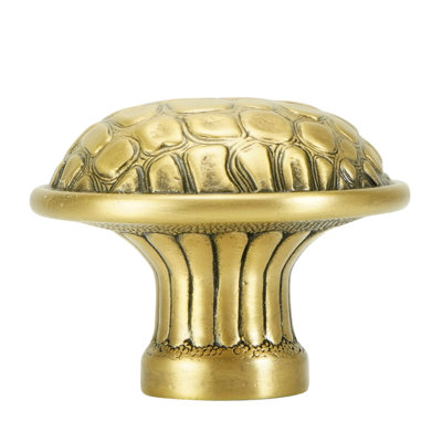 ALLIGATOR KNOB FLORENTINE