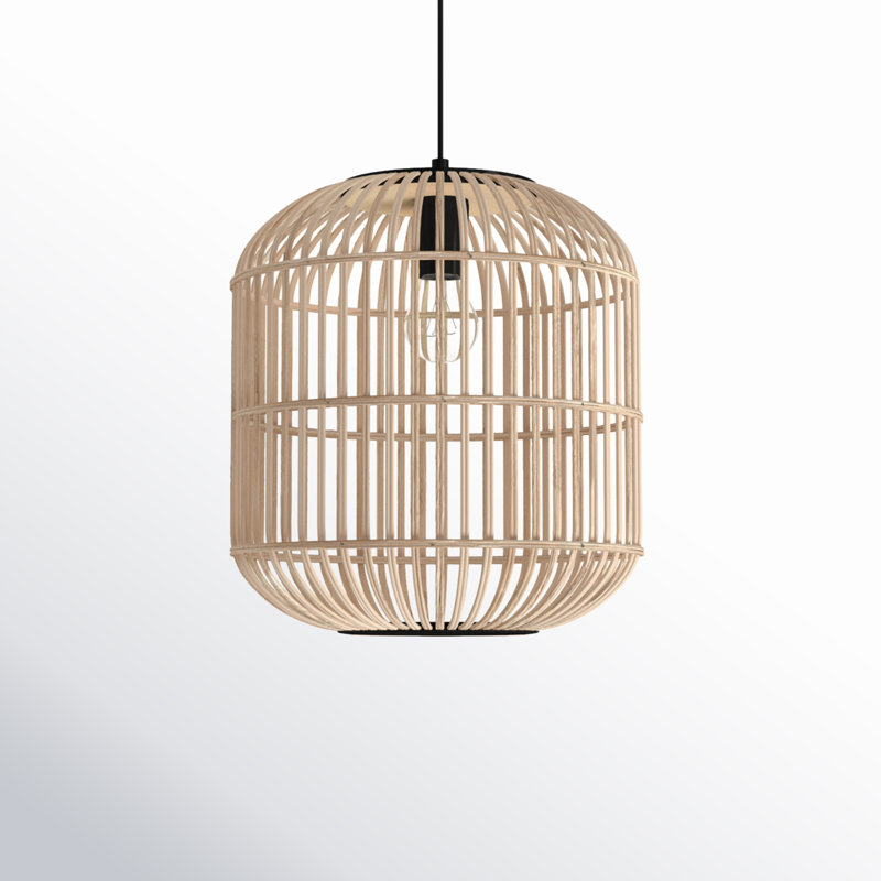 1 - Light Single Cage Pendant