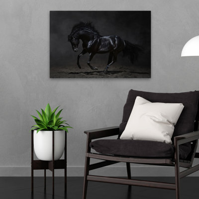 Onyx - photographie, animaux, chevaux, art