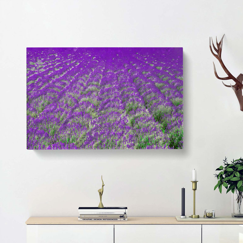 Field Of Lavender - Wrapped Canvas Print, 35cm H x 50cm W x 3cm D