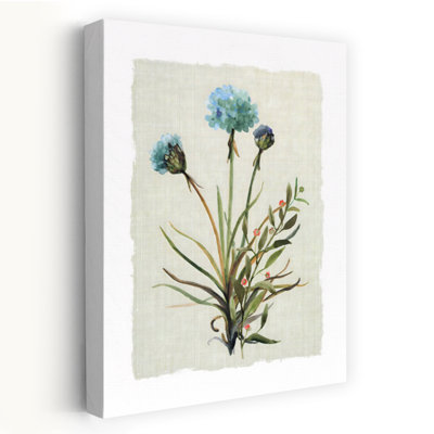 Honeybloom Botanical I Minimalist Vintage Flower Wall Art