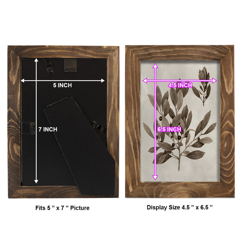 Arbor Speciment IV - Impression encadrée avec verre - rouge cerise, H 9 po x l 7 po x P 1 po, Noyer