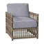 Newport Arm Chair with Cushions-63361408-84544968-93646496