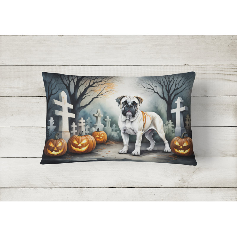 Other/No Pattern Outdoor Throw Pillow