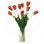 Orange Tulips In Glass Ribbed Vase