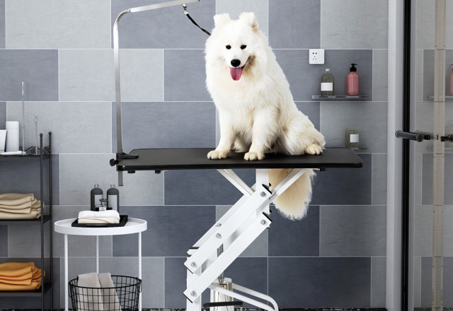 Our Favorite Pet Grooming Kits