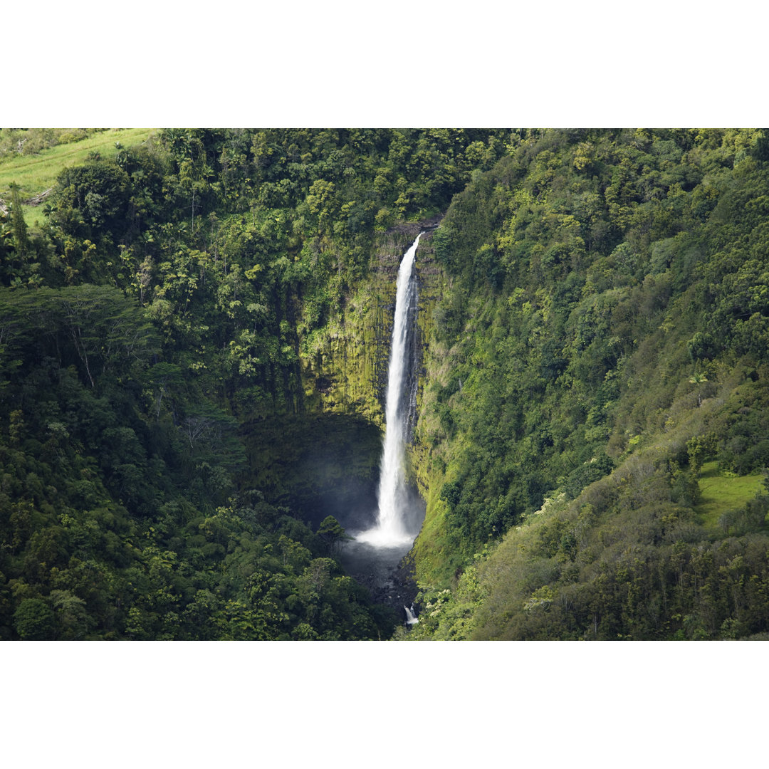 Luftaufnahme des Akaka Falls in Hawai`I - Druck