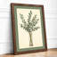 Study in Glass Botanical - Framed Print-1835150322-1835150329