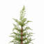 Ensemble de 2 pièces de Noël artificiel pré-éclairé 4 pi avec matériau en PE de haute qualité, ensemble facile à assembler, support en pot