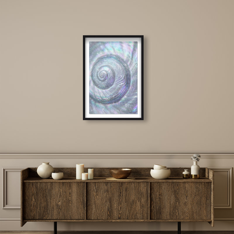 Sea Spiral Shadowbox Nautical & Beach Print by Oliver Gal, Black Frame, 10 x 15, 25.5"H x 17.5"W, Black Shadowbox