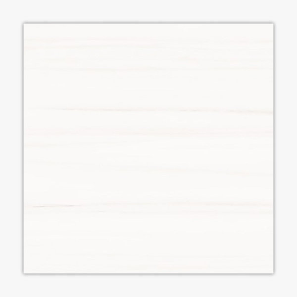24" x 24" Porcelain Stone Look Wall & Floor Tile