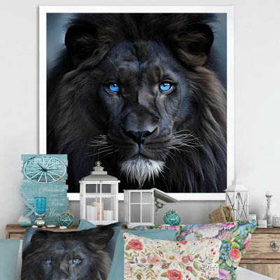 Midnight Lion - Lion Animal Wall Decor