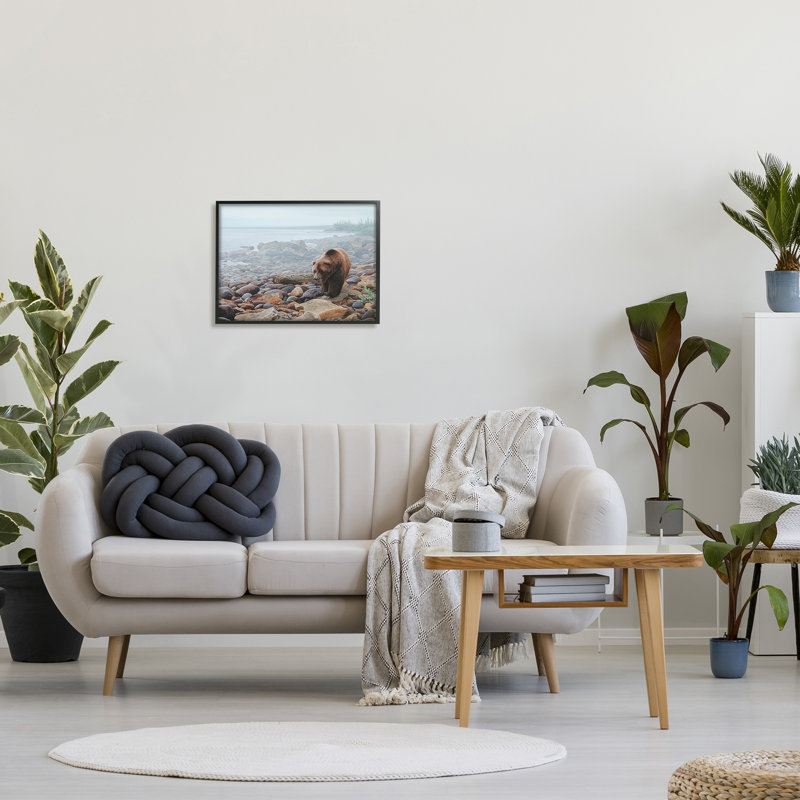 Conception d'art sur toile Stupell Industries Bear on Rocky Shore par Clinton Jammer, Giclée encadrée noir minuit