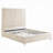 Edzia Queen Bed
