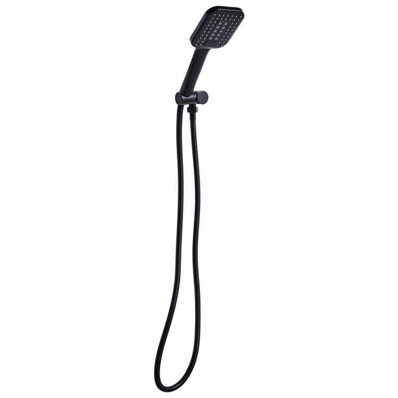 Shower Head and Hose Kit TINGO, Black