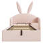 Upholstered Ottoman Bed-299291303