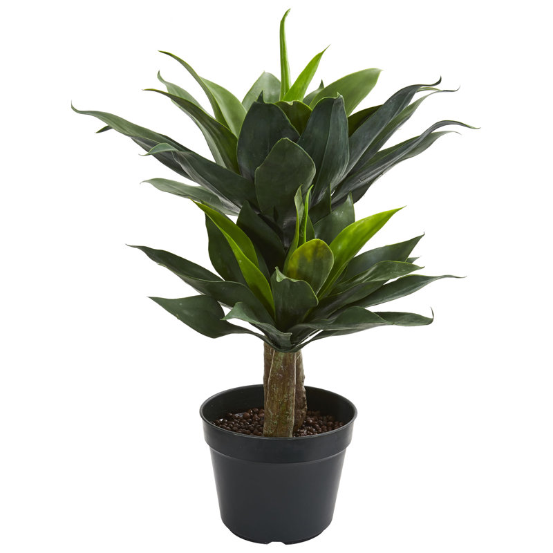 Succulent en pot artificiel double agave