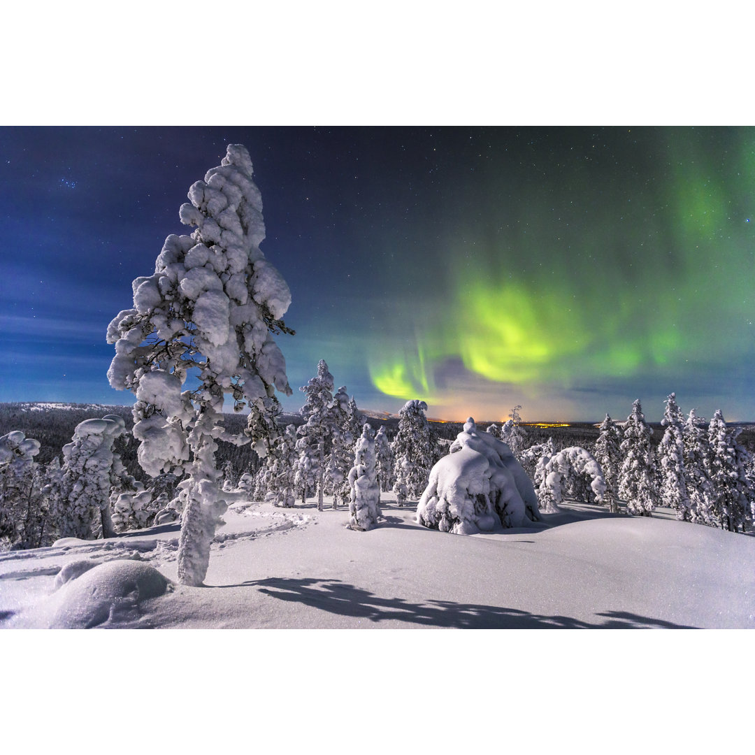 Aurora Borealisb - Drucken