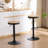 Jaina 15.2" W Solid Wood Swivel Adjustable Height Bar Stool -731064503-731064501
