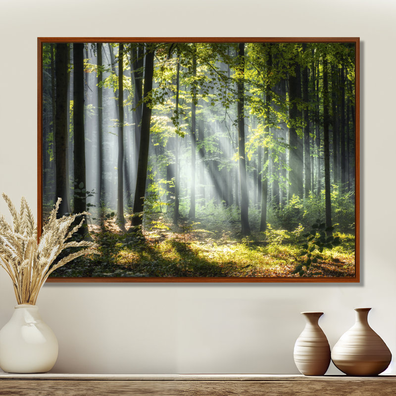 «Sunny Morning Magic Forest III - Forest», reproduction d'art sur toile, H 24 po x l 32 po, Reproduction avec cadre flottant