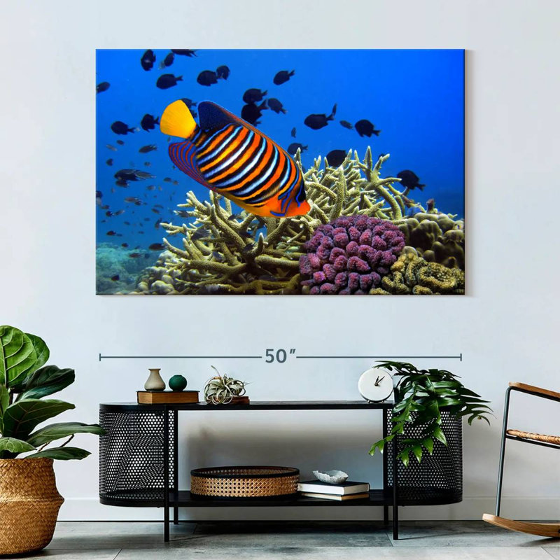 Brampt Royal Angelfish, 34" H x 51" W